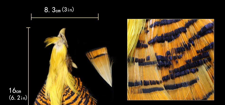 Золотой Серебряный фазан, палантин для сухого завязывания мух, принадлежности для хаклов, перья фазана, хвост для завязывания мух, материалы для изготовления приманки