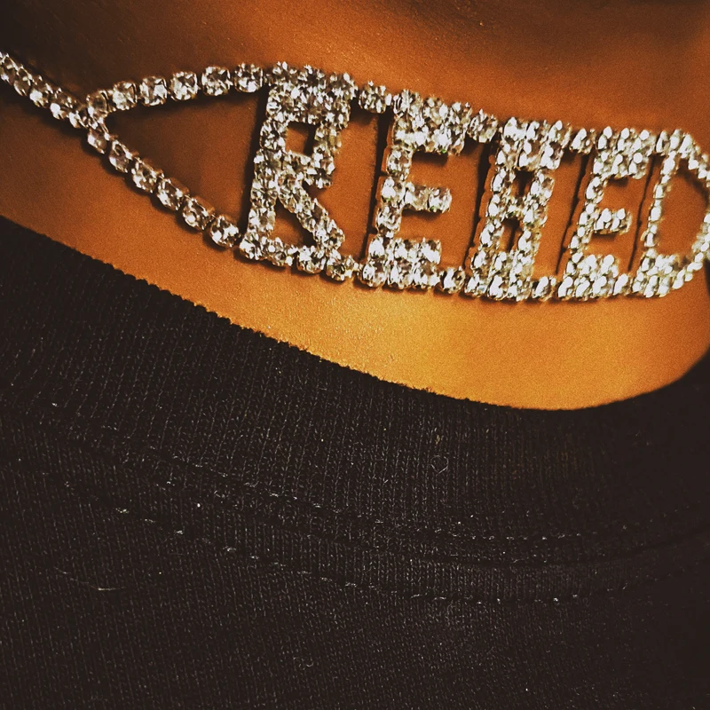 

Bohemian Rebel Rhinestone Crystal Choker Necklace for Women New Bijoux Maxi Statement Necklaces Collier Fashion Party Jewelry