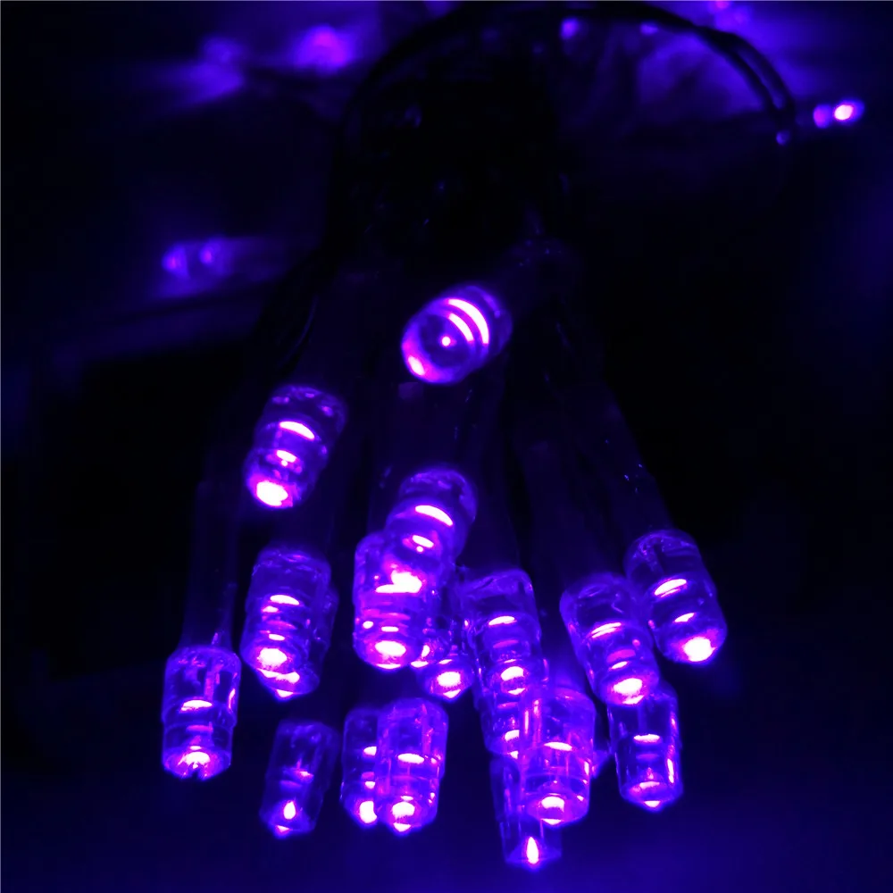 Battery Power LED String Lights for Festivals (10)