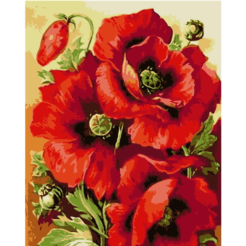 

Big Poppy Flower.40x50cm,Painting By Numbers,DIY,wall Art,Living Room Decoration,Scenery,Figure,Animal,Flower,Cartoon