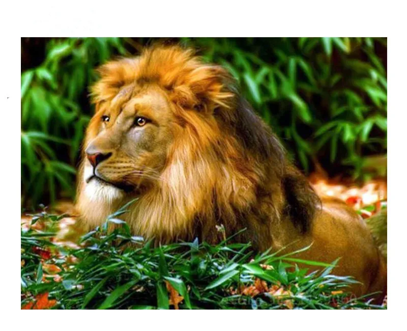 3D Diamond Mosaic Full 5D Embroidery Lion In Grass Green Cross Stitch | Дом и сад