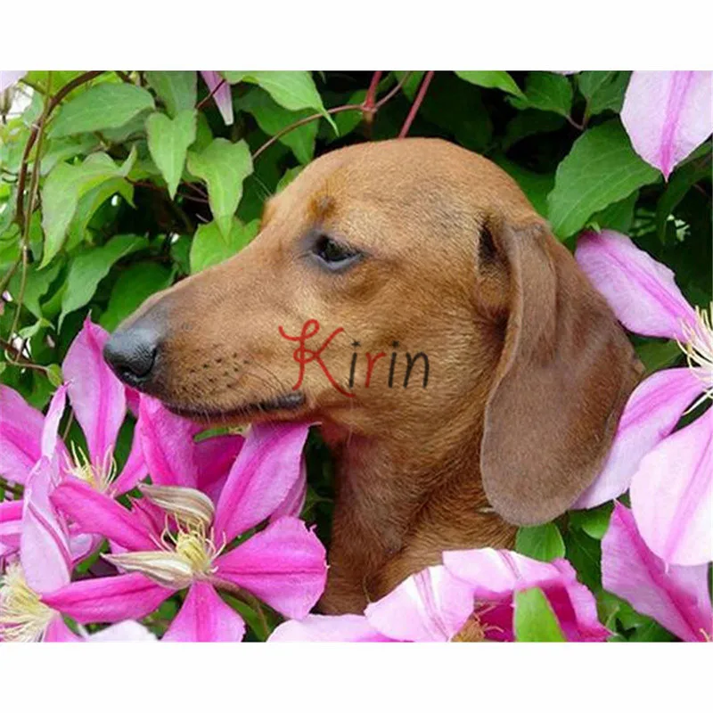 3d Diamond Mosaic Home Decor Embroidery diy diamond Painting Cross Stitch kit flower dog picture | Дом и сад