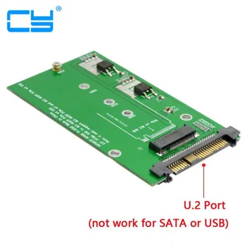 

SFF-8639 NVME U.2 to NGFF M.2 M-key PCIe SSD Adapter for Mainboard Replace Intel SSD 750 p3600 p3700