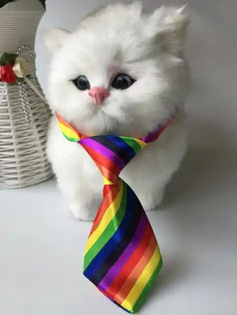 pet grooming supplies for sale