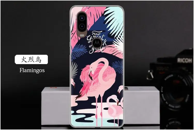  Flamingos