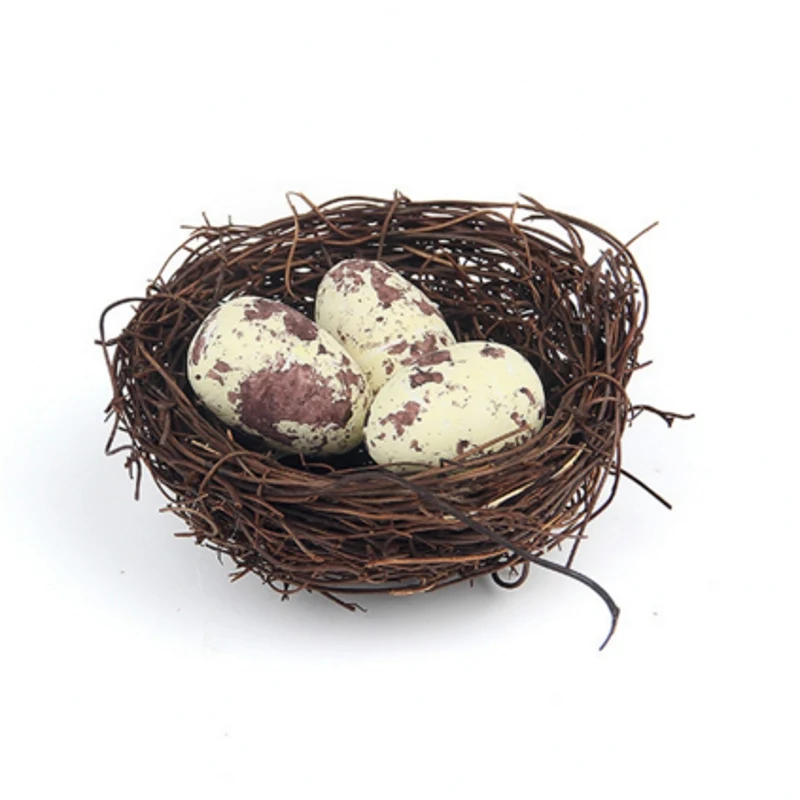 pigeon egg