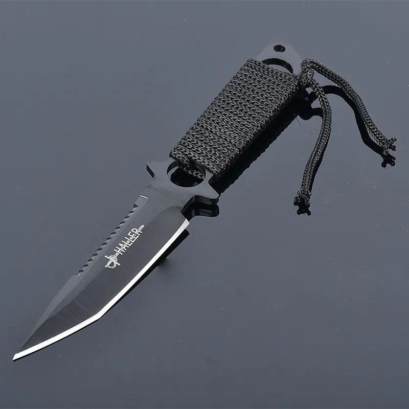 2504400073_731435421