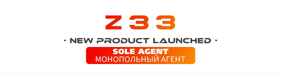 z33_01