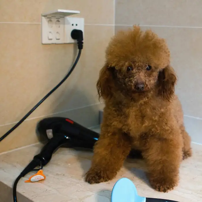 ПЭТ собака опрыскиватели для ванны многофункциональный массажер душ Инструмент Чистка стирка шланг щетка для собак Уход HR