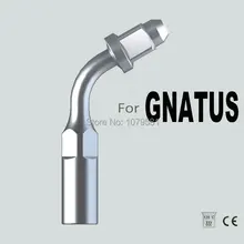 EG1, GNATUS, ENDODONCIA CANAL de LIMPIEZA, ENDODONCIA ARCHIVO, HIGIENE ORAL, EQUIPO DENTAL, INSTRUMENTO DENTAL