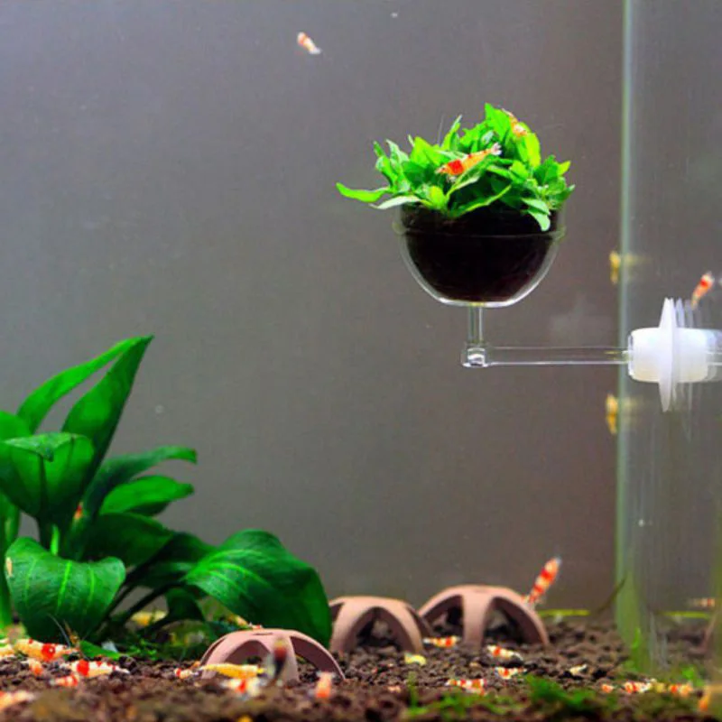 Aquarium Sucker Creative Water Plants Planting Pots Plastic Strong water plants planting pots plastic