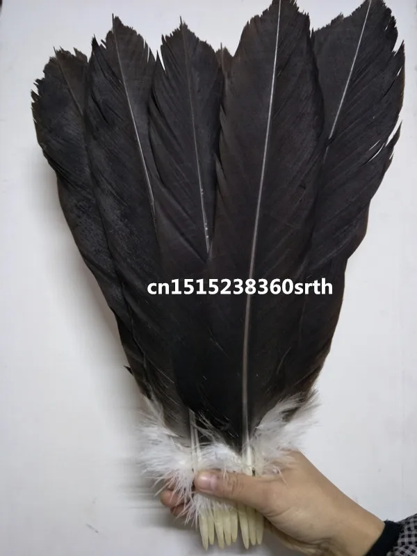 

Wholesale 10pcs Quality scare natural Eagle tail feather 35-40cm/14-16inch Decorative diy stage performance Jewelry accessories