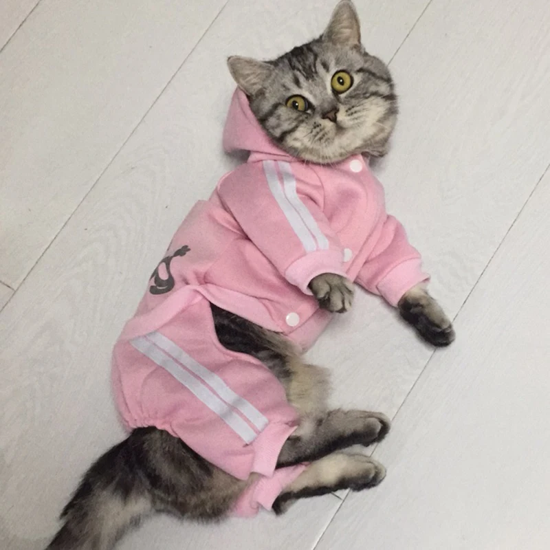 vraag naar Doe een poging Alarmerend Mode Huisdier Kleding Voor Katten Winter Warm Puppy Kat Kleding Voor Gotas  Katten Kedi Sphynx Hond Overalls Mascotas Jumpsuit Pyjama|Kleding voor Kat|  - AliExpress