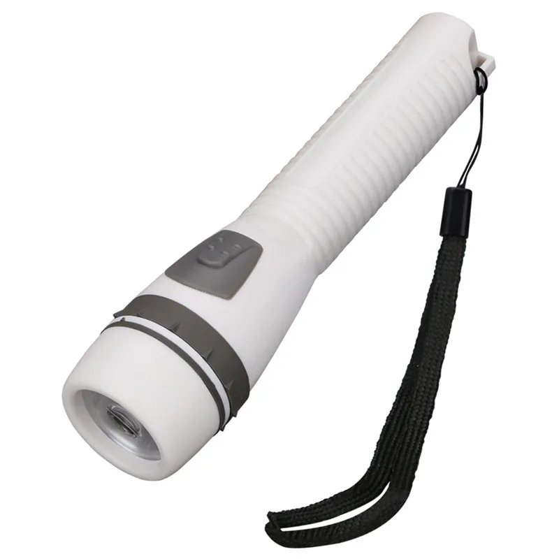 TORCH (1)