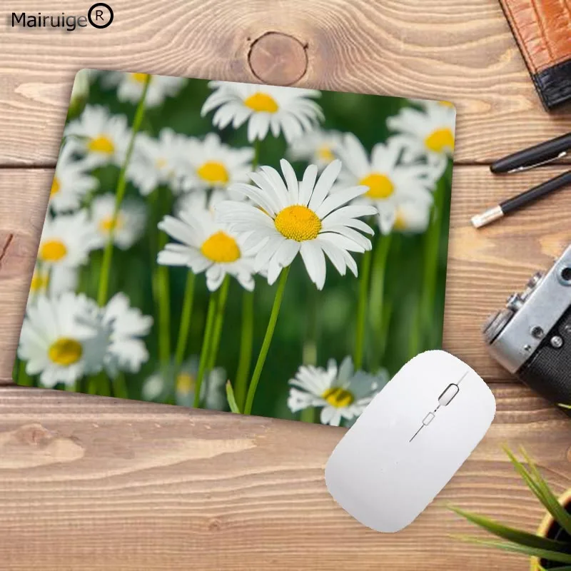 364new-daisy-background-1920x1200-WTG2003128