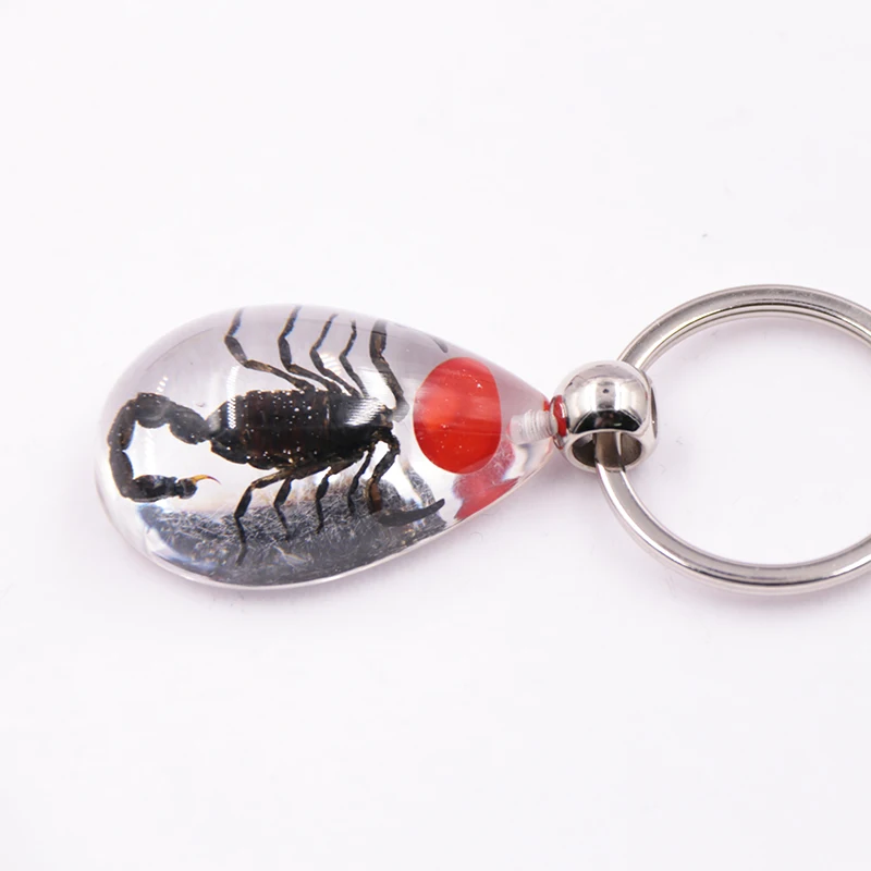 Fashion high quality Innovative design scorpions transparent tear drop resin luminous key ring chain