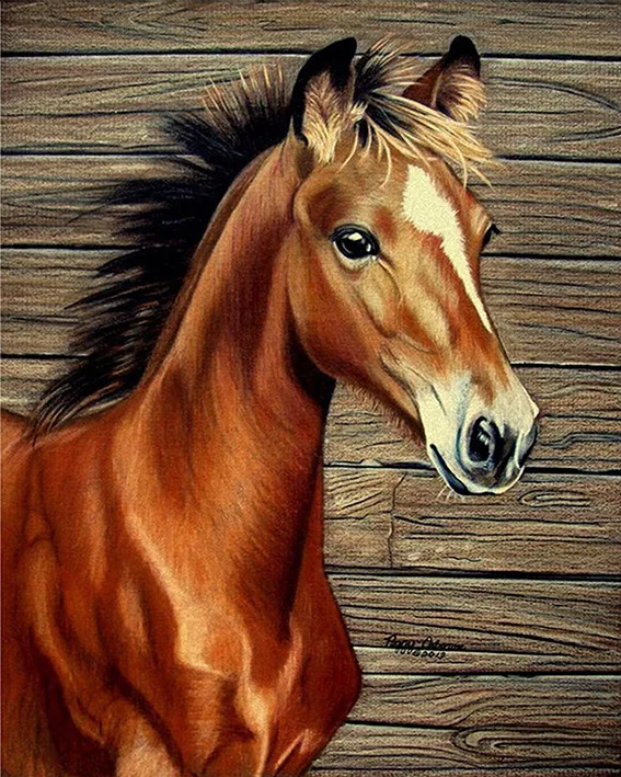 

horse square rhinestone Diamond Embroidery 3d Diy Diamond Painting Handicraft Inlay Mosaic cross stitch crafts