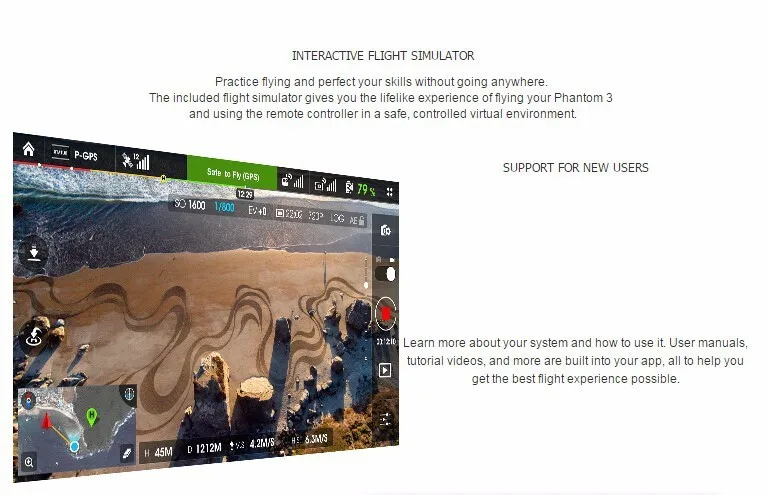 In Stock Ready To Fly DJI Phantom 3 Professional Version With 4K Camera RC Quadcopter With Special Gift EMS