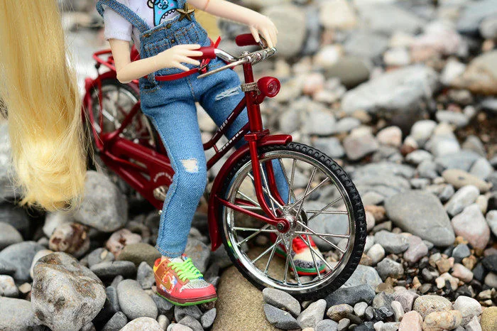 DOLL ACCESSOREIS  (4)