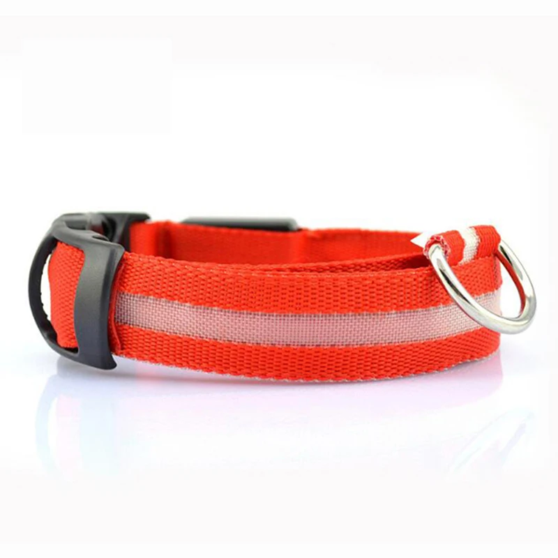 dog collar (8)