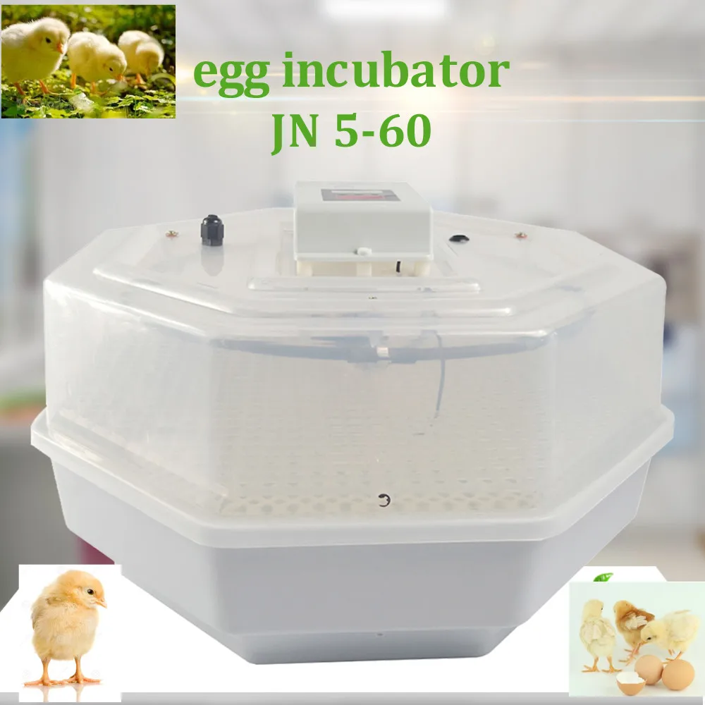 

High quality 60 Egg Incubator CE Approved Semi-automatic Household Poultry Duck Quail Chicken Hatching Brooder Transparent Lid