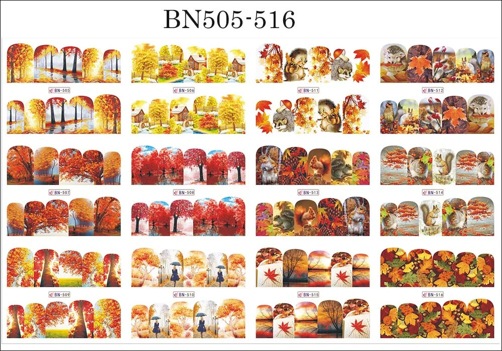 BN505-516(1)
