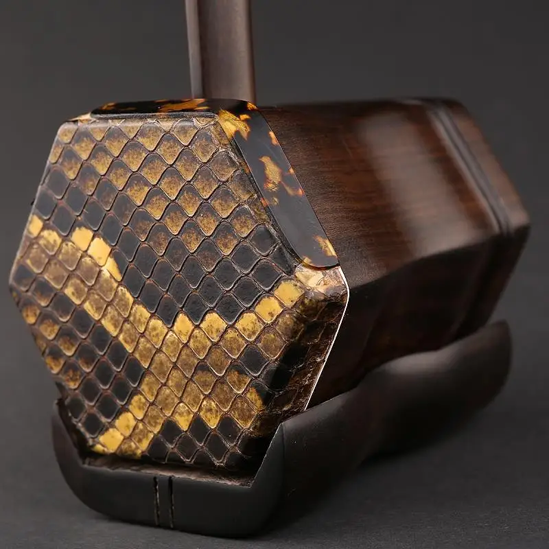2 string chinese instrument 2 string chinese instrument