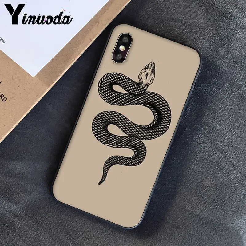 Animal The Snake and Fern