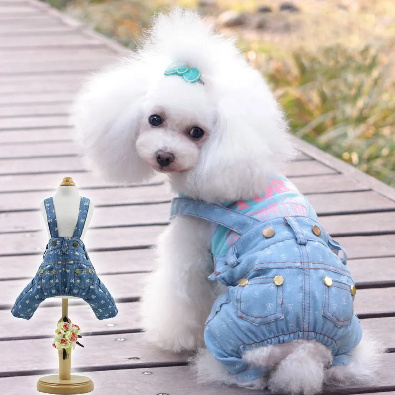 Popular Pomeranian Dog ClothesBuy Cheap Pomeranian Dog Clothes lots