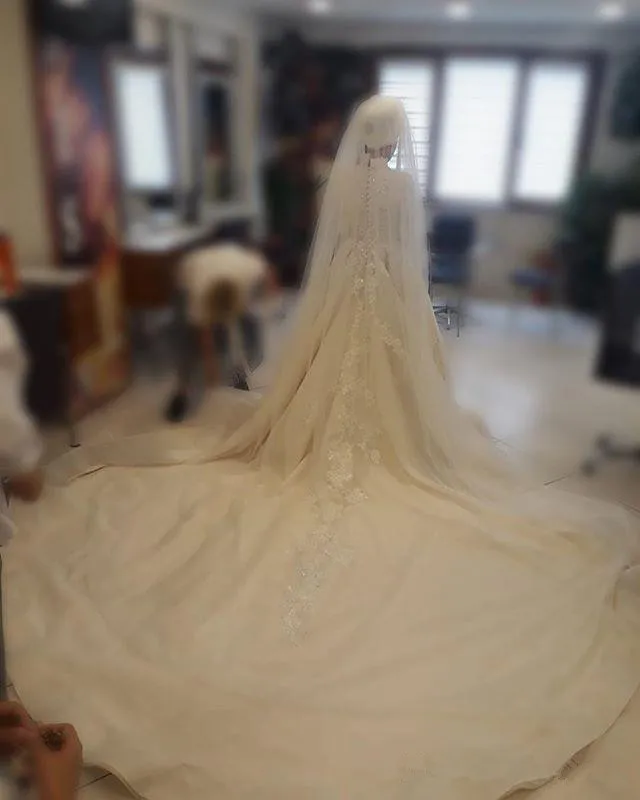 2019-elegant-a-line-wedding-dresses-muslim-long-sleeve-lace-appliques-sequins-long-train-dubai-arabic-style-wedding-dresses-bridal-gown (2)_