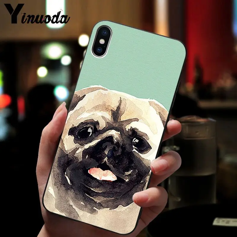 Cute pug dog