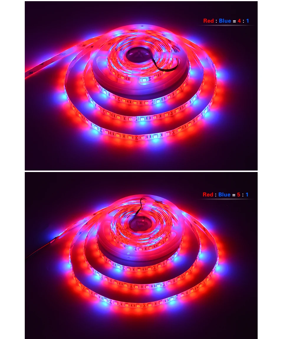 1 (6)