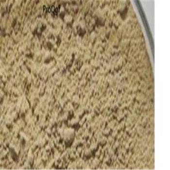 

300Gram A Set Cissus repens