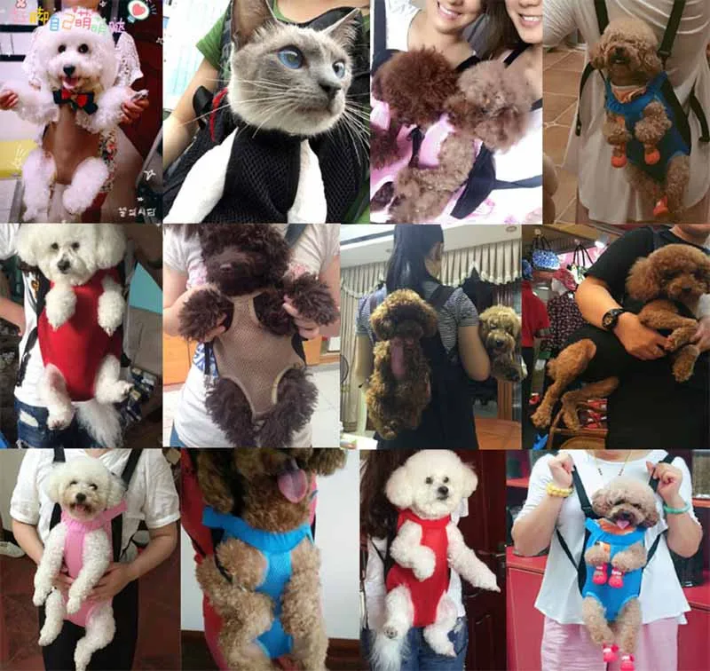 2016 New Pet Backpack Puppy Dog Carrier for Dogs Breathable Mesh Small Dog Travel Shoulders Bag Pet Outdoor Supplies Wholesale22