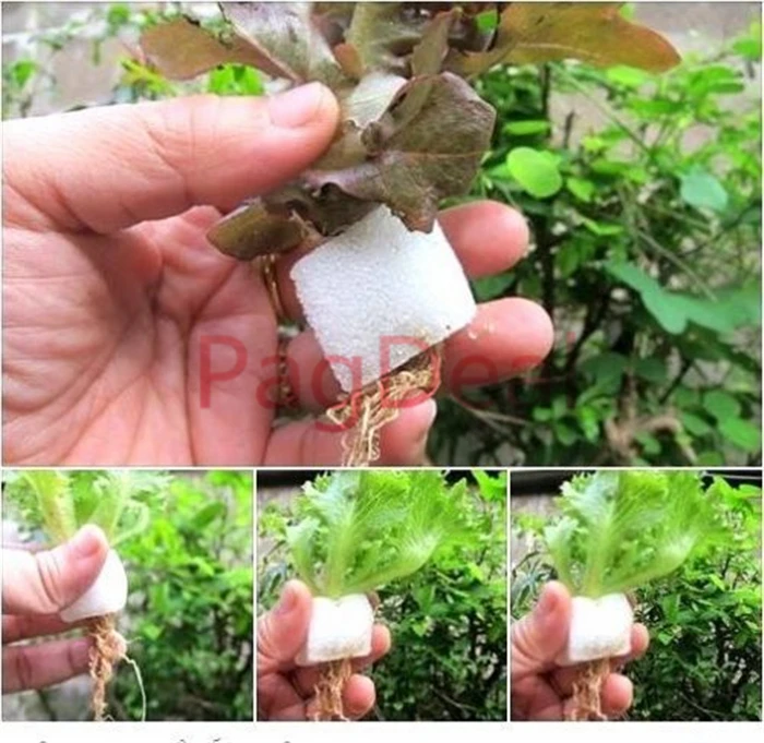 100 шт кусок гидропоники губки семена среда для выращивания сетки горшки вставить цилиндрические пены садовые растения прорастания наборы