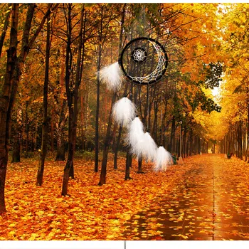 

1- The whole creative cashmere Dreamcatcher dreamer Home Furnishing feather ornaments wholesale handmade Campanula Wind chimes