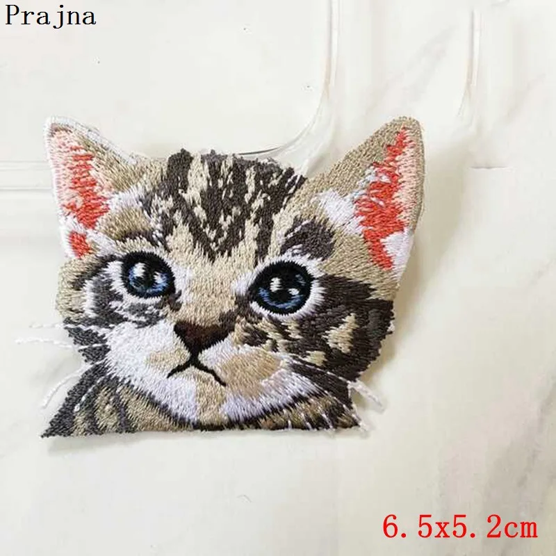 PE1676CT