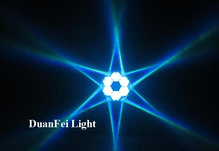 6 bee eyes moving head (22)