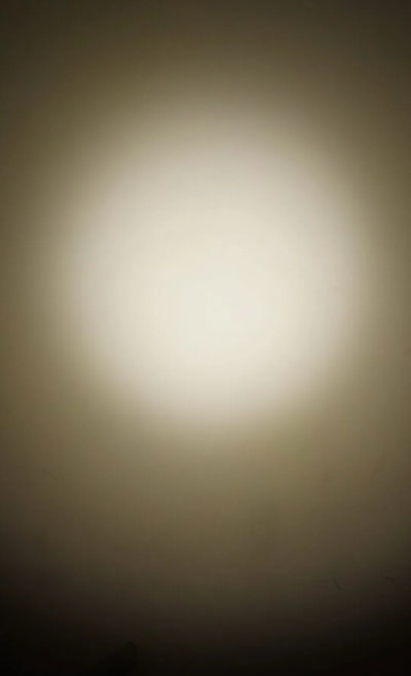 20190110_113452_016