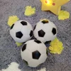 2.5 inches Pet Dog Rubber Football Ball Small Toys for Dog Chewing Toy Squeaker Toy Ball For Small Dog Training Product Supplies ► Photo 3/6