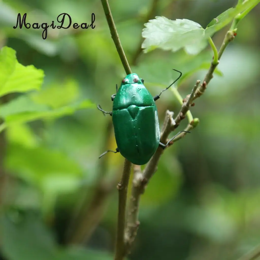 MagiDeal Artificial Lifelike Insects Model Cicada Figurines Home Garden Art Craft Decor DIY Tree Decor Kids Play Toy 