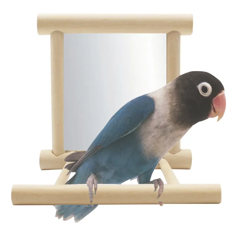 Bird Mirror Toys Stand Rack Funny Wooden Platform Silver Mirror