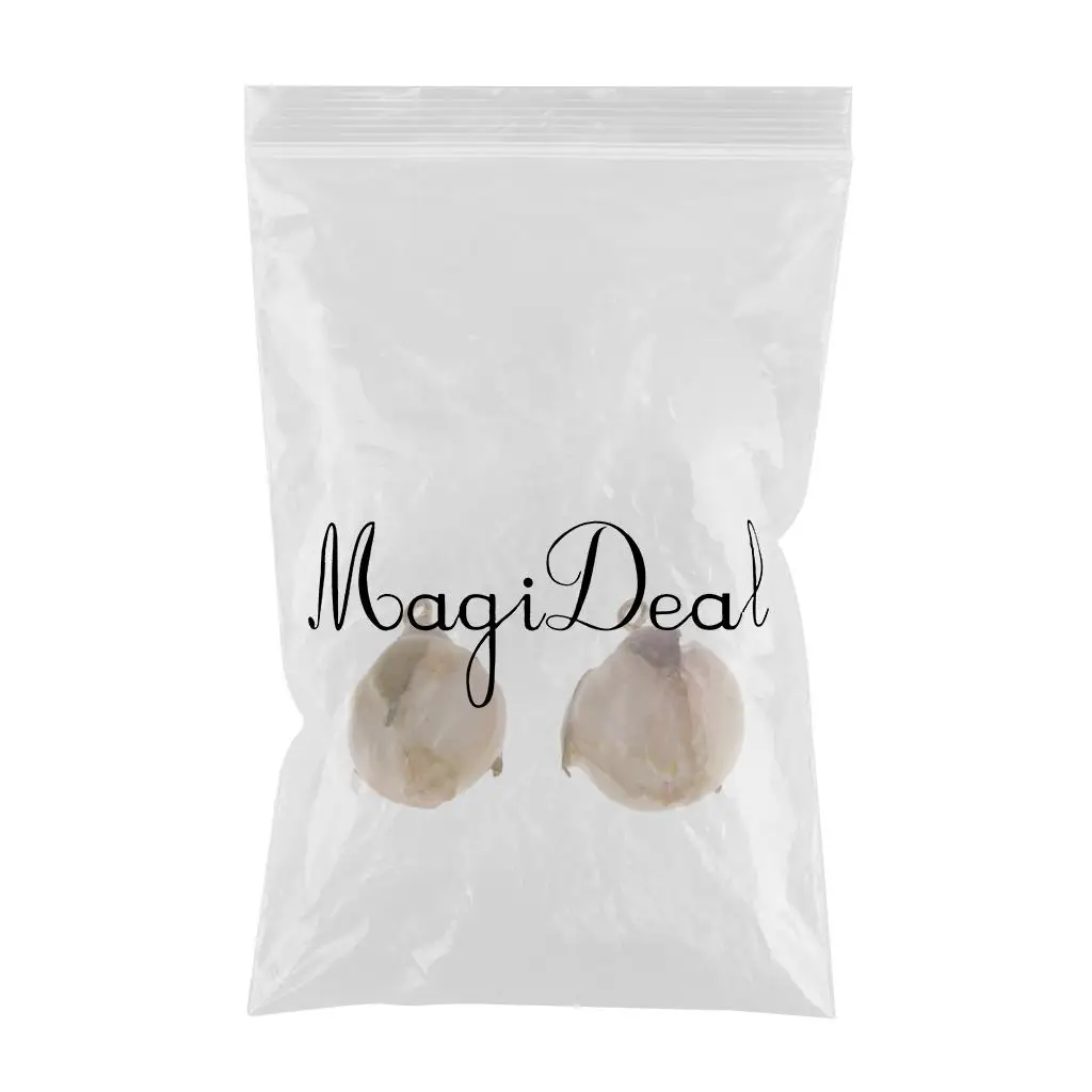 2 Pieces Dried Rose Flowers Charms with Liquid Resin Covered and Loop for DIY Earrings Pendant Jewelry Making Findings