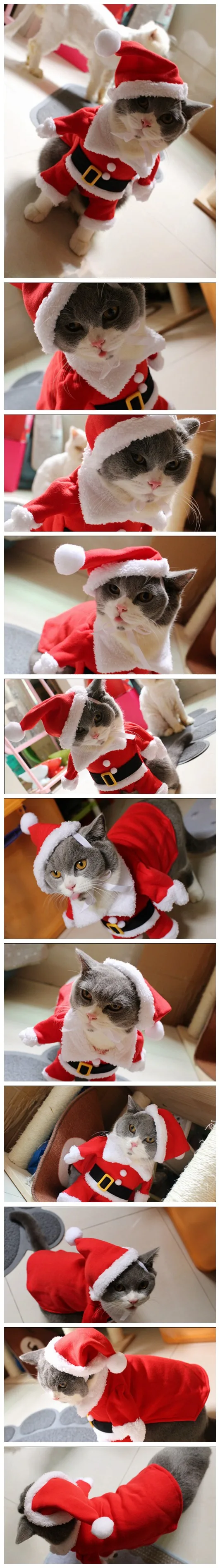 [MPK cat costumes] костюм кошки Санта Клауса! Милый Санта! Красный Санта-Клауса одежда для домашних животных, котов, пальто одежда в рождественском стиле костюм