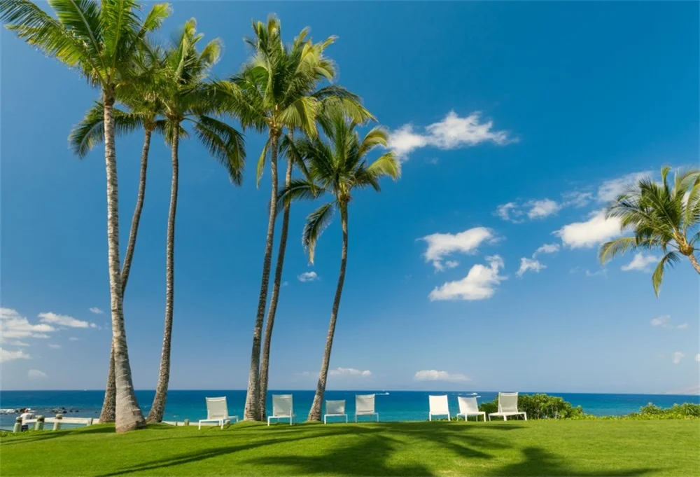 

Laeacco Blue Sky Sea Chairs Palm Trees Scenic Photography Backgrounds Customized Photographic Backdrops For Photo Studio