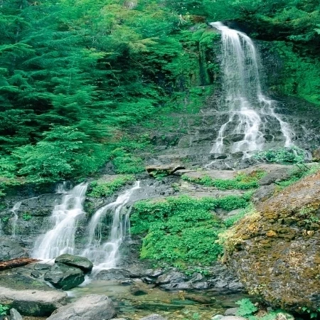 Biggies WW-WFL-100 Window Well Scene - Waterfall 100 in. (1)