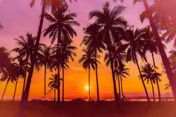 Силуэт кокосовой пальмы пляж Закат Винтаж фото фон винил ткань высокого качества Компьютер печати фоне стены