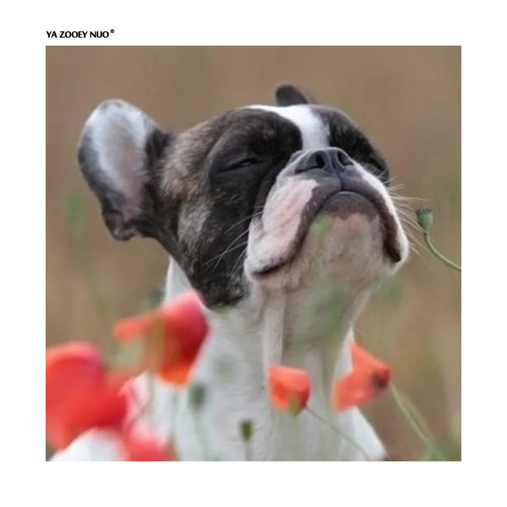 

5D Square DIY Diamond Painting Cross Stitch kit Animal dog picture for 5D Diamond embroidery Diy Diamond mosaic flowers YU24