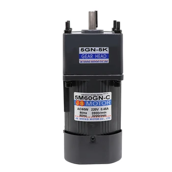 

60W Ac Gear Motor 220V Single Phase Motor With 50Hz/60Hz Positive and Reverse Regulation Motor