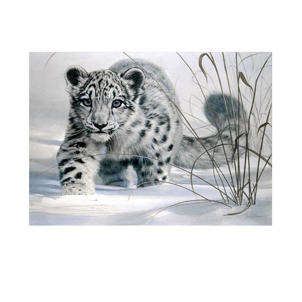 Popular Snow Leopard Paintings Buy Cheap Snow Leopard Paintings focus for Snow Leopard Home Decor